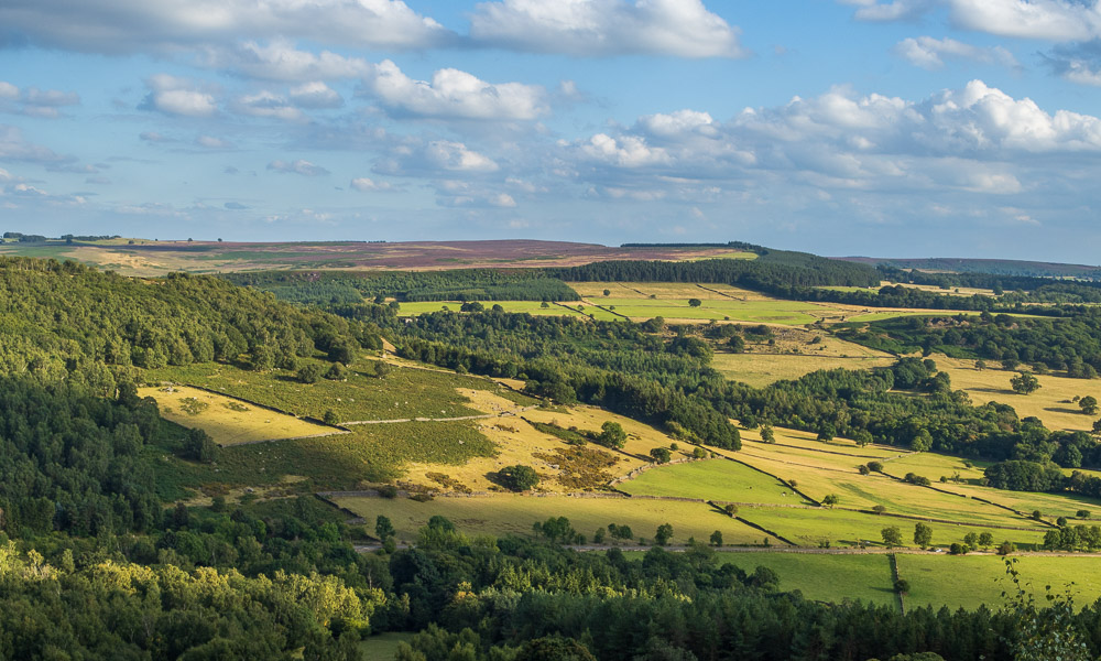 Gibbet Moor